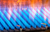 Seascale gas fired boilers